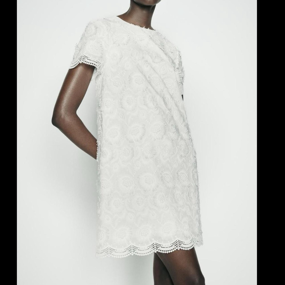 dresses - Picture 8 of 8